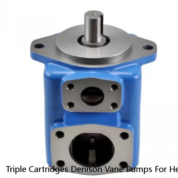 Triple Cartridges Denison Vane Pumps For Heavy Equipments / Mining Machinery