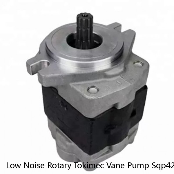 Low Noise Rotary Tokimec Vane Pump Sqp42 With One Year Guarantee